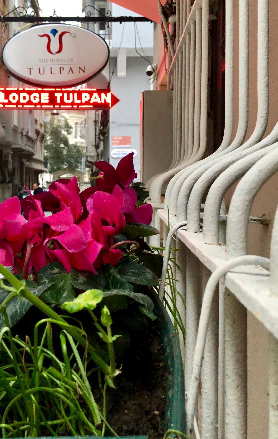 Hotel The House Of Tulpan Estambul Exterior foto